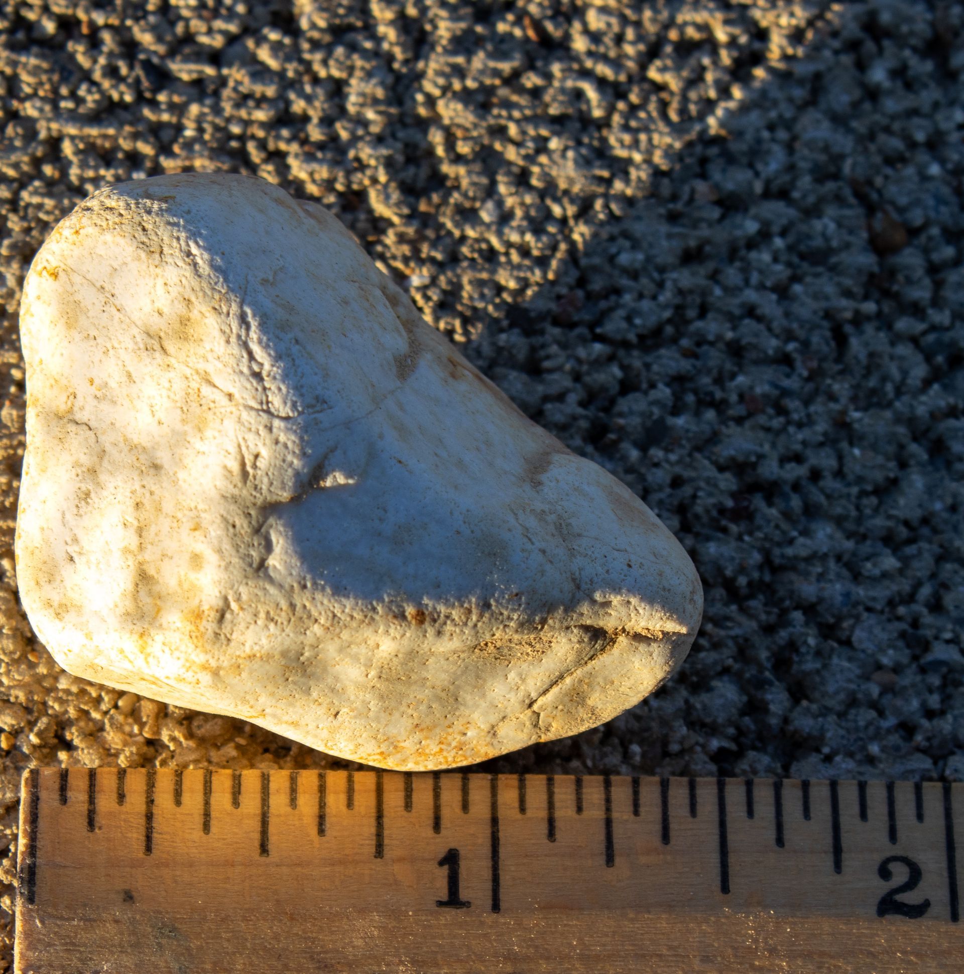 A ruler that has the number 2 on it