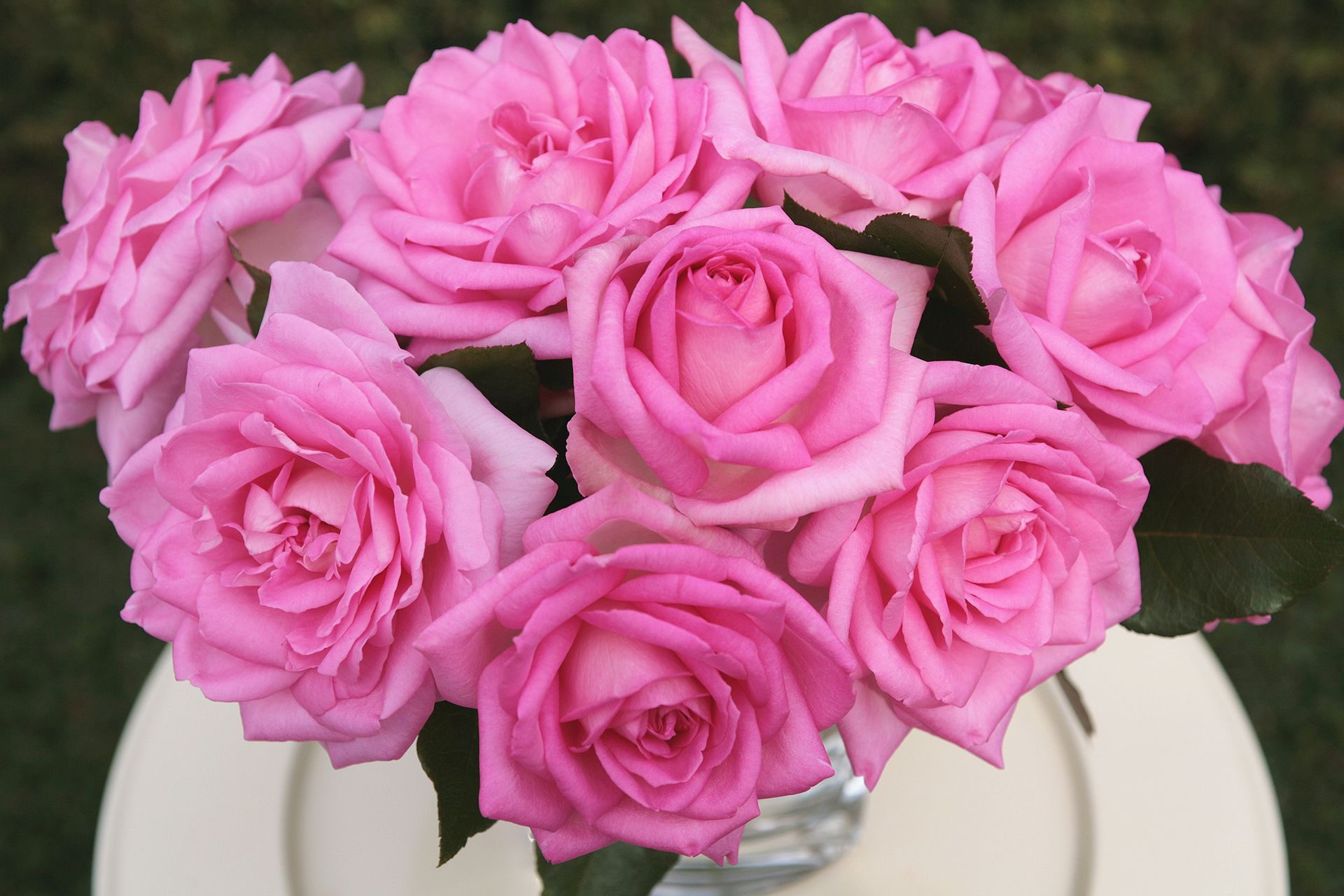 A bunch of pink roses in a vase on a white plate