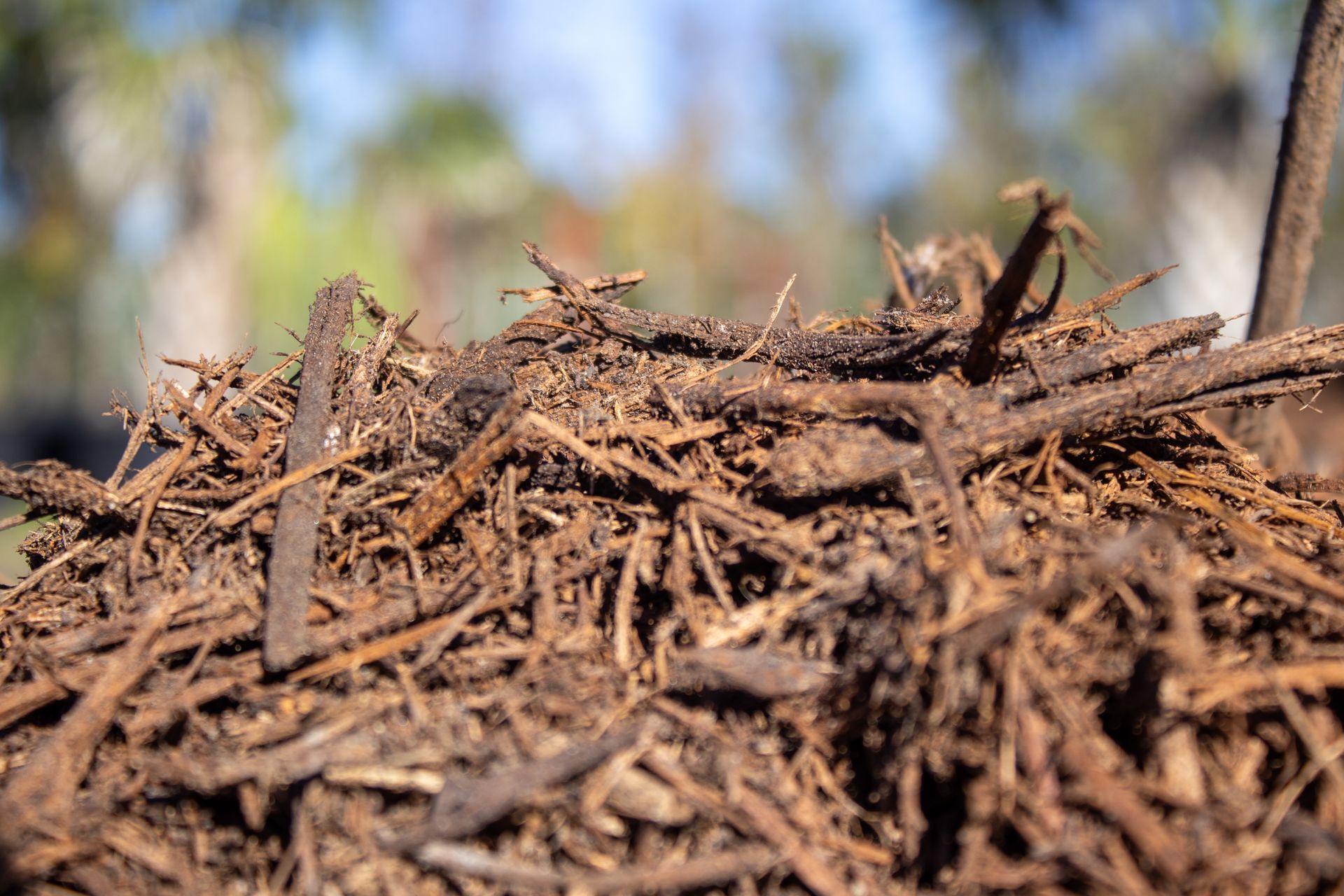 A pile of wood chips is sitting on top of a pile of wood chips.