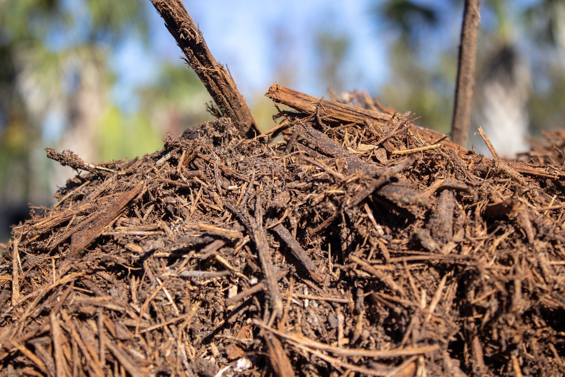 A pile of wood chips with a tree in the background.