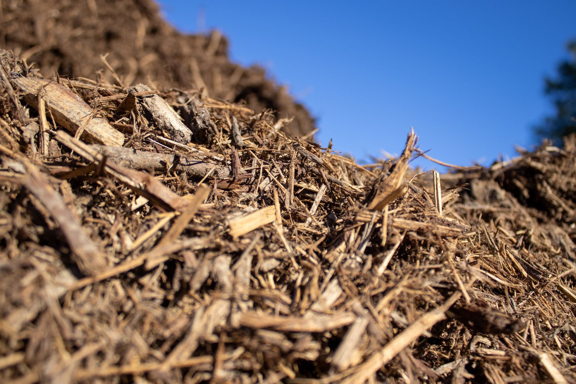 A pile of wood chips with a blue sky in the background.