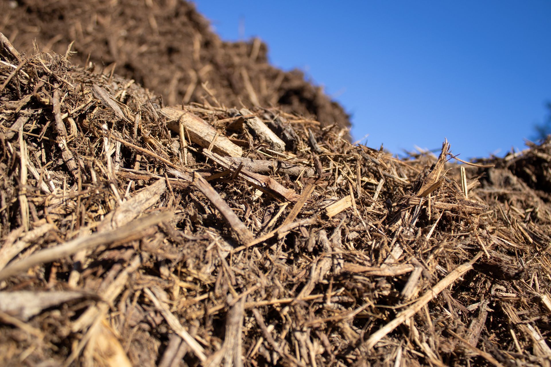 A pile of brown mulch with a blue sky in the background.