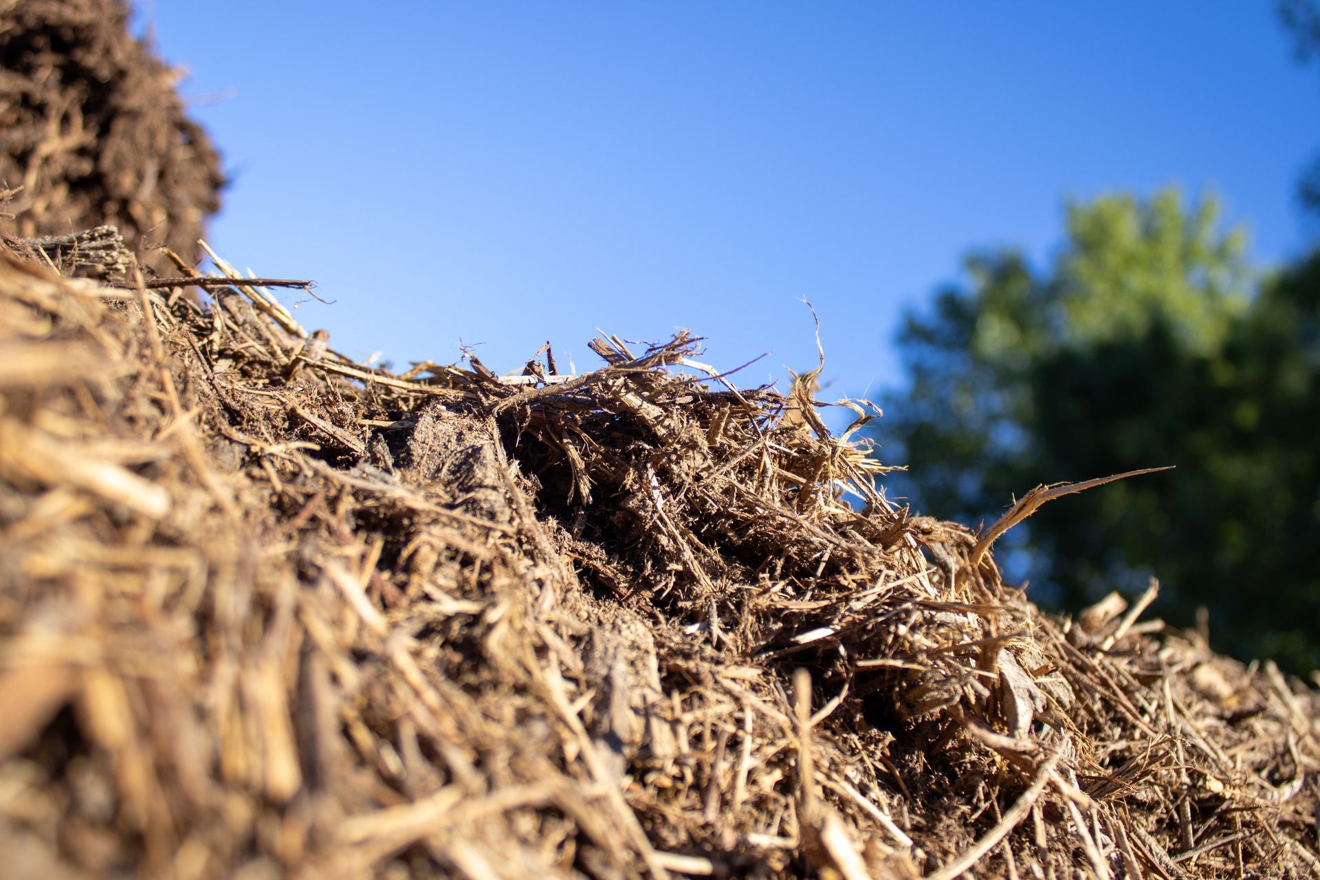 A pile of brown mulch with trees in the background and a blue sky in the background.