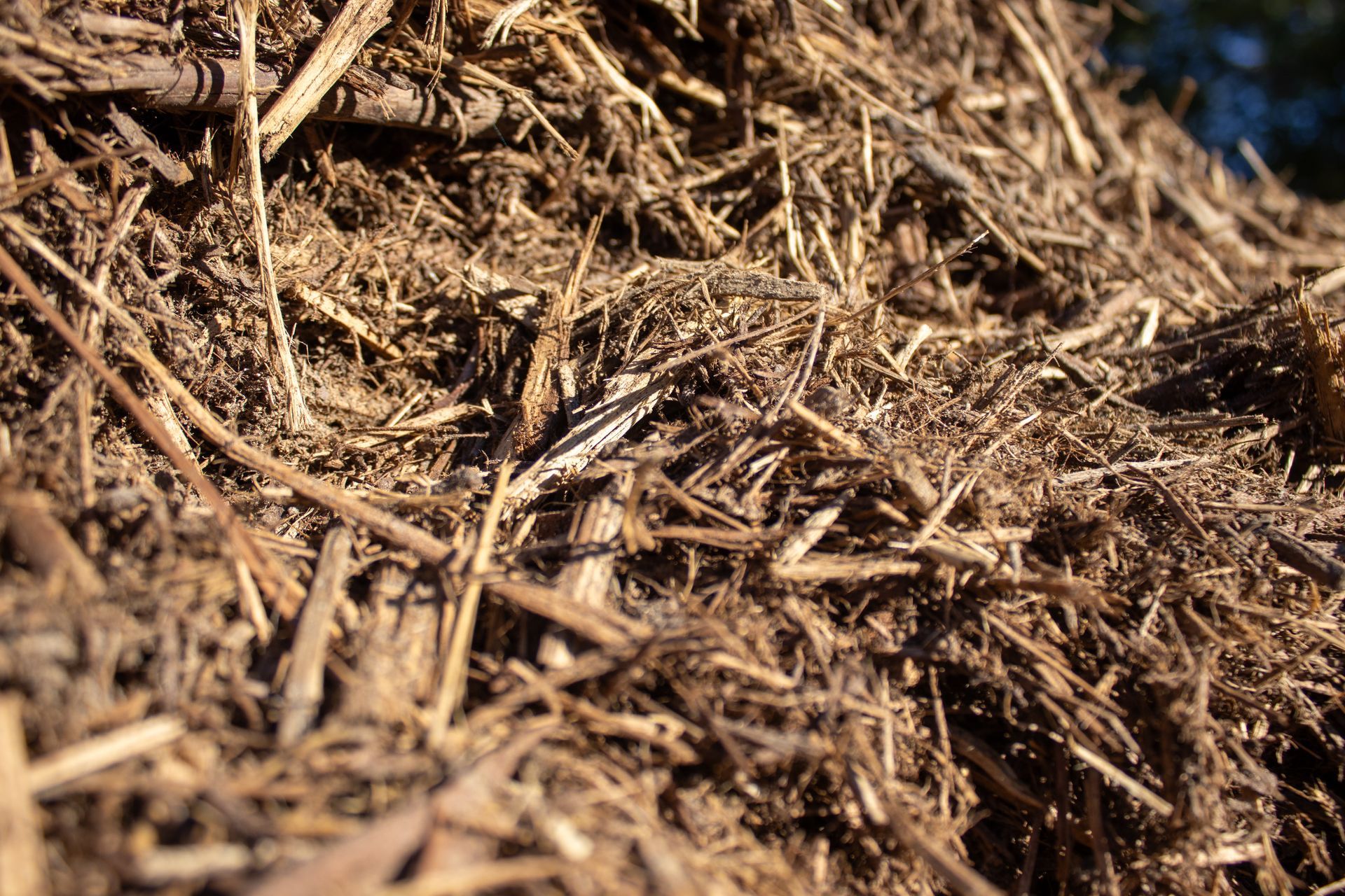 A pile of wood chips is sitting on top of a pile of wood chips.