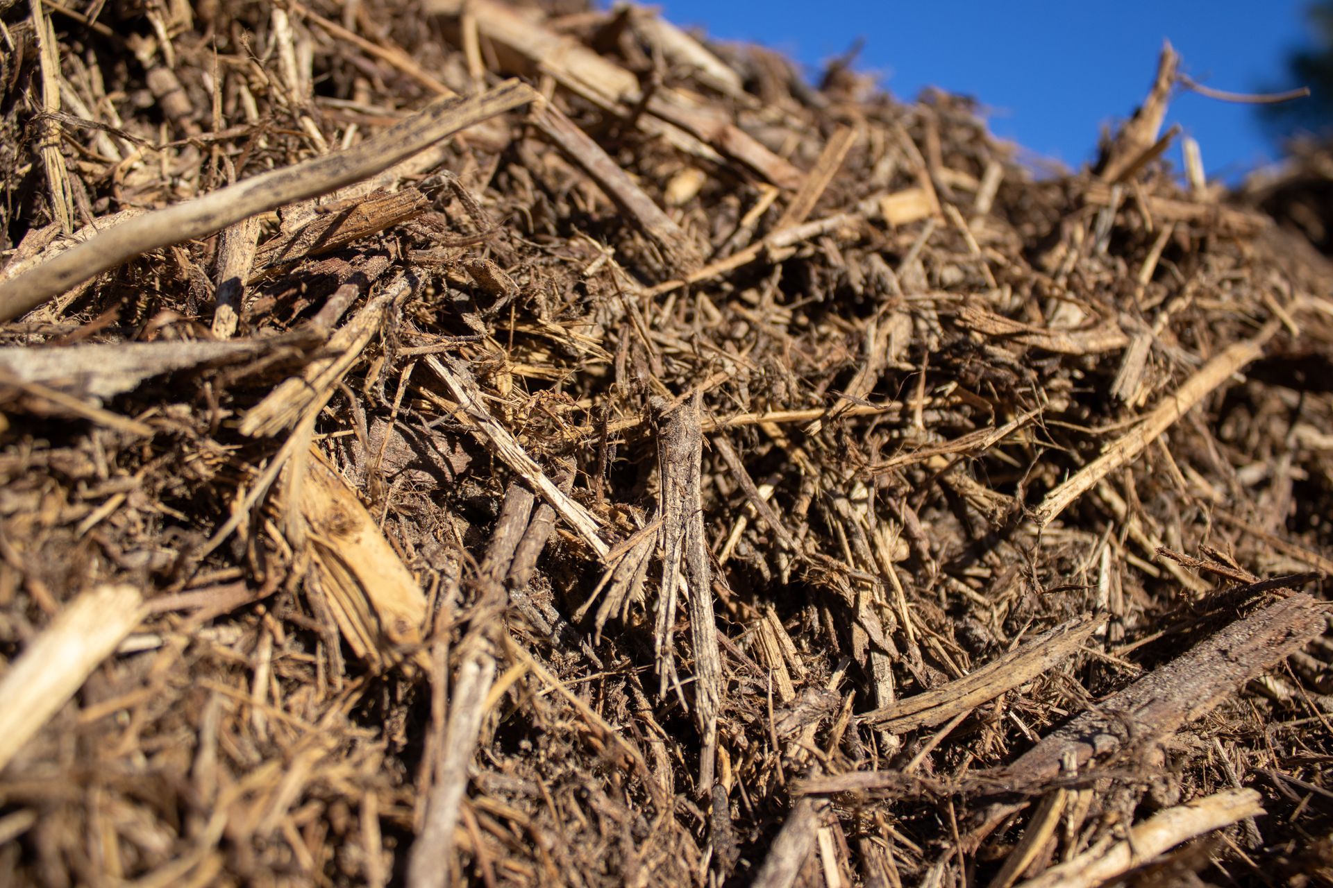 A pile of wood chips with a blue sky in the background.