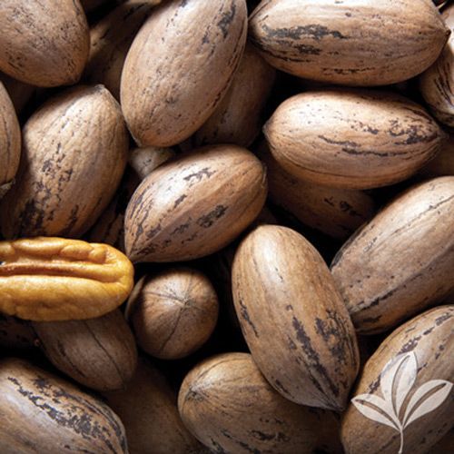 A green letter t on a white background.