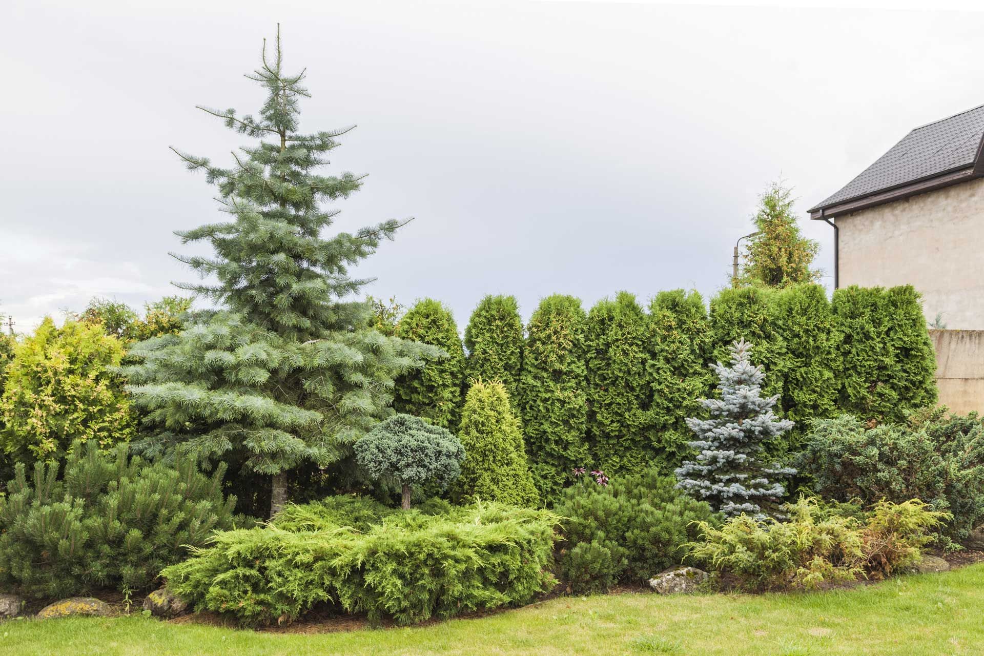 A lush green garden with trees and bushes in front of a house.