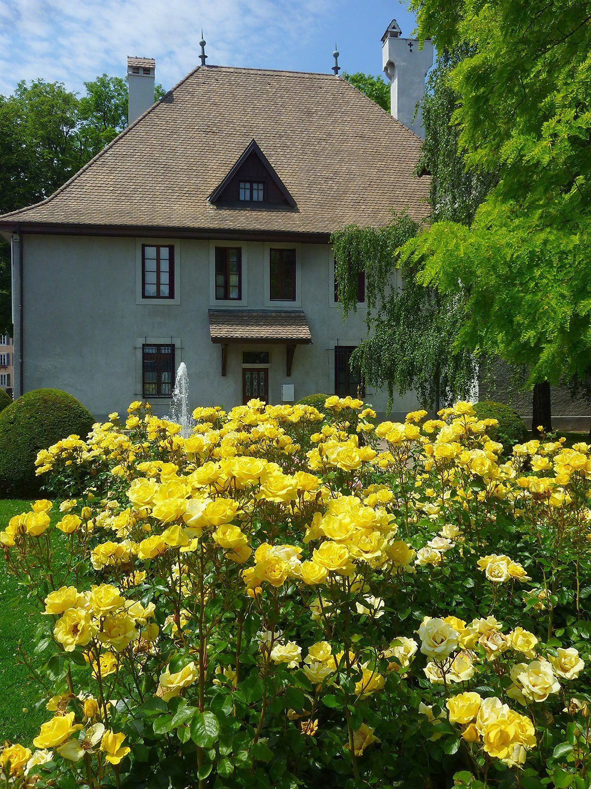 A house with yellow flowers in front of it