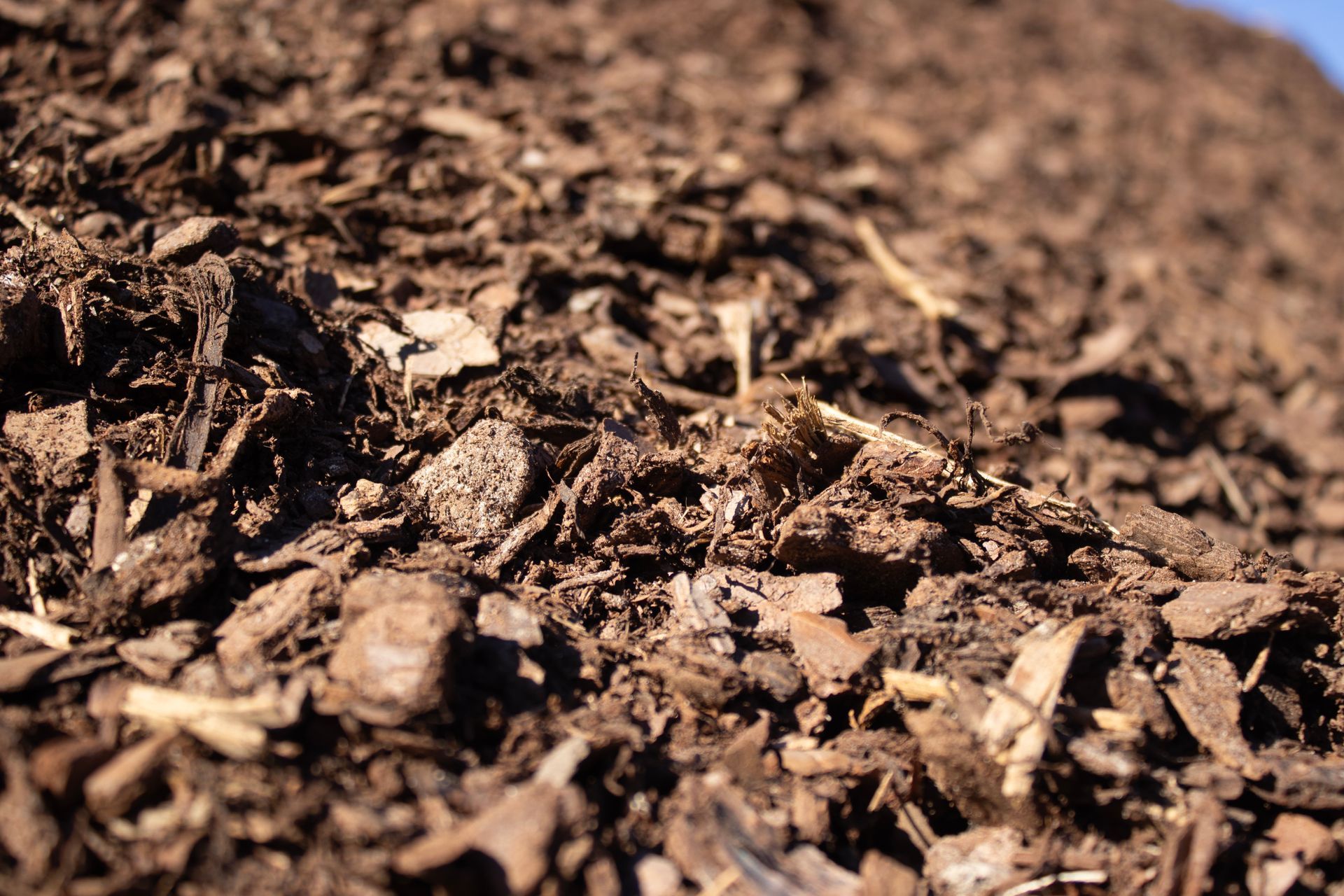 A pile of dirt with a lot of wood chips in it.