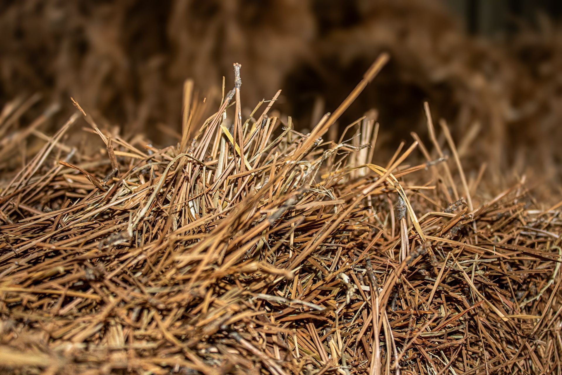 A pile of hay is sitting on the ground.