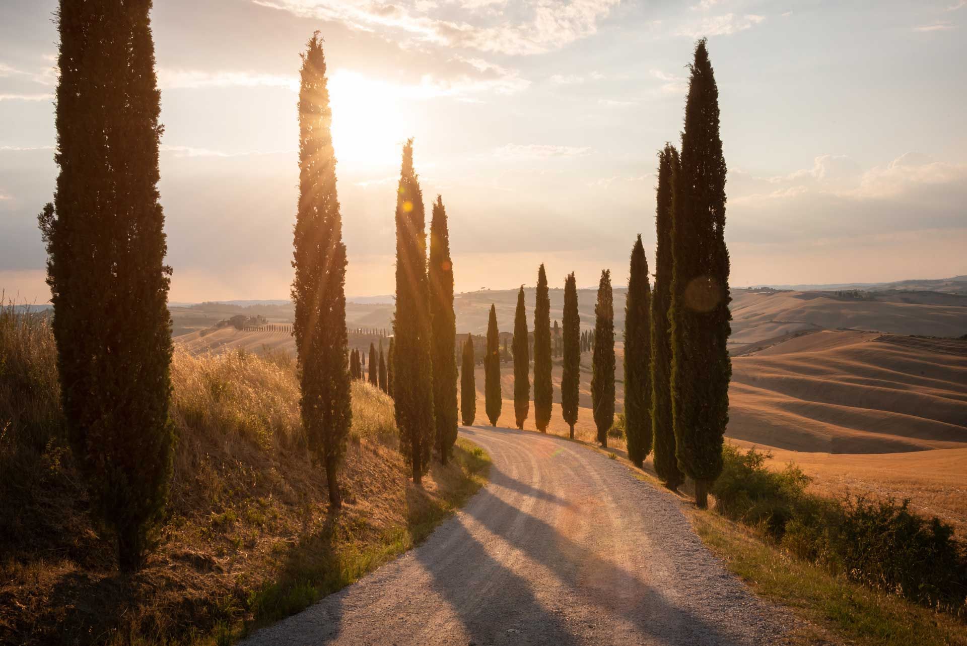 A dirt road with trees on both sides of it