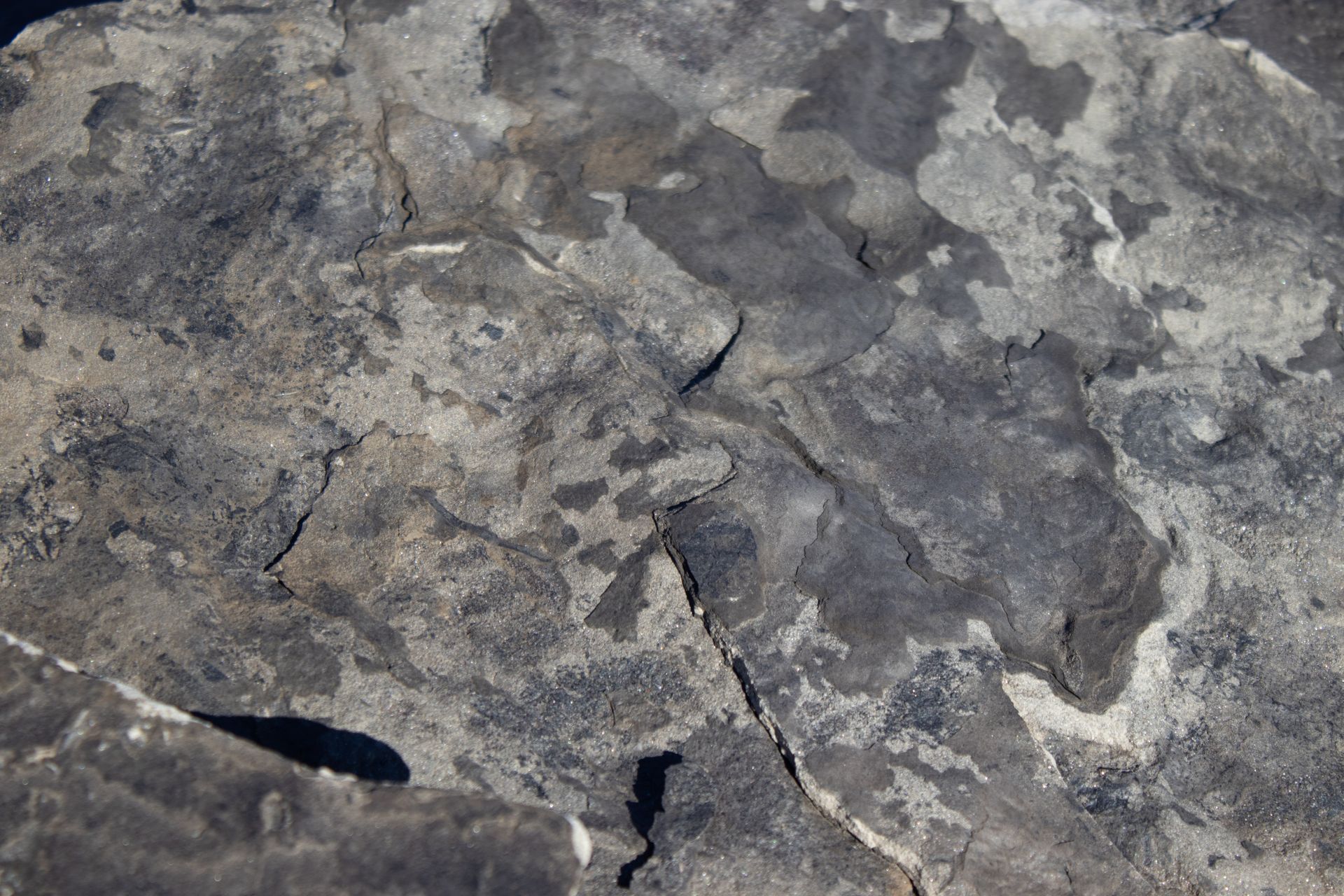 A close up of a rock with a lot of texture