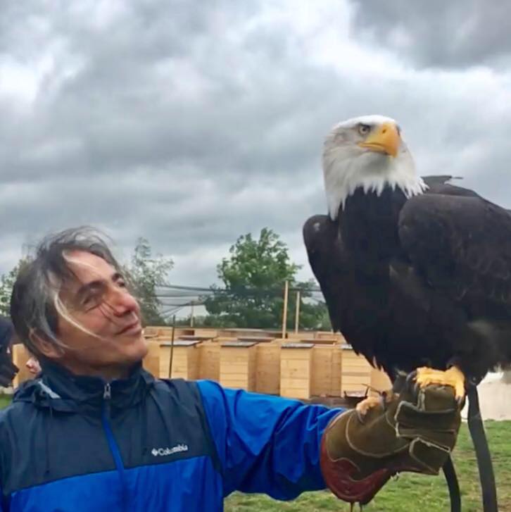 A man in a blue jacket is holding a bald eagle