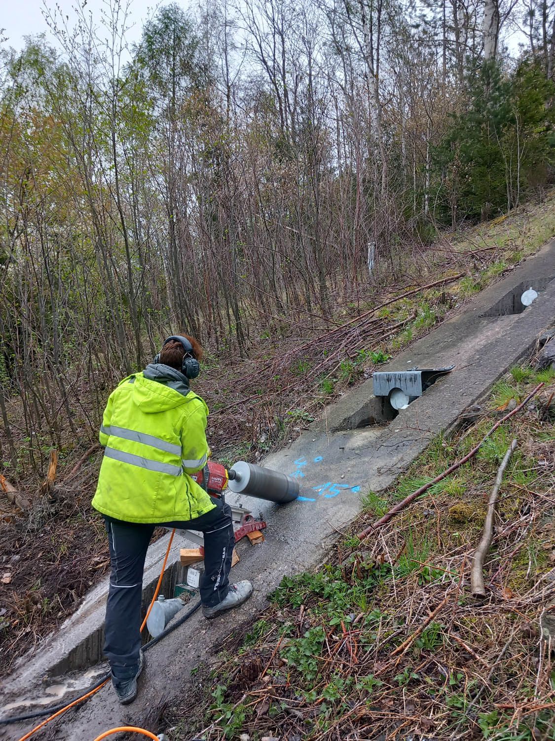 Kernbohren Beton Wald