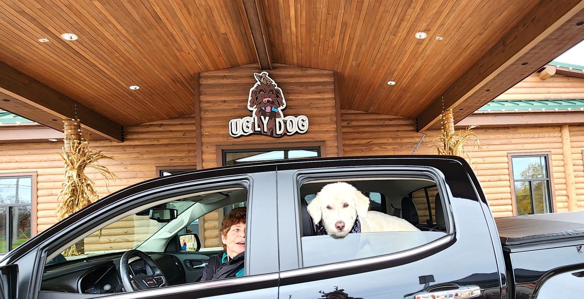 White dog and a child in a black truck parked under a wooden lodge entrance sign.