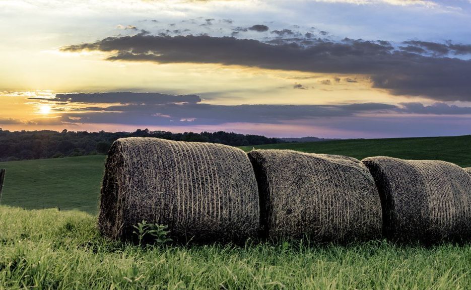 Hay bales in a field with a sunset in the background