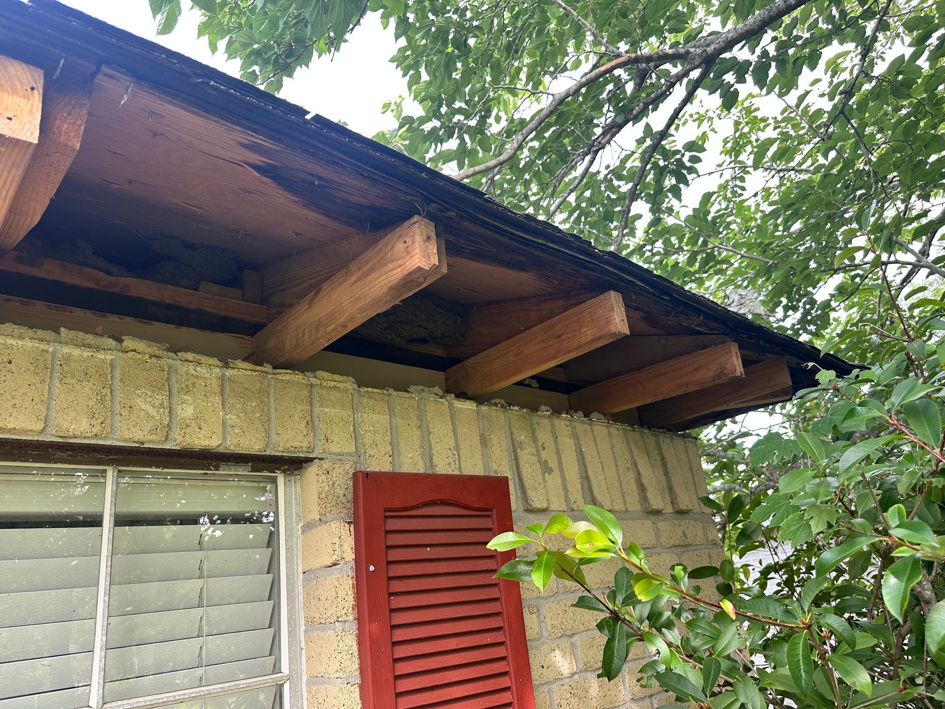 A building with a brick wall and a wooden roof overhang. A red shutter is visible.