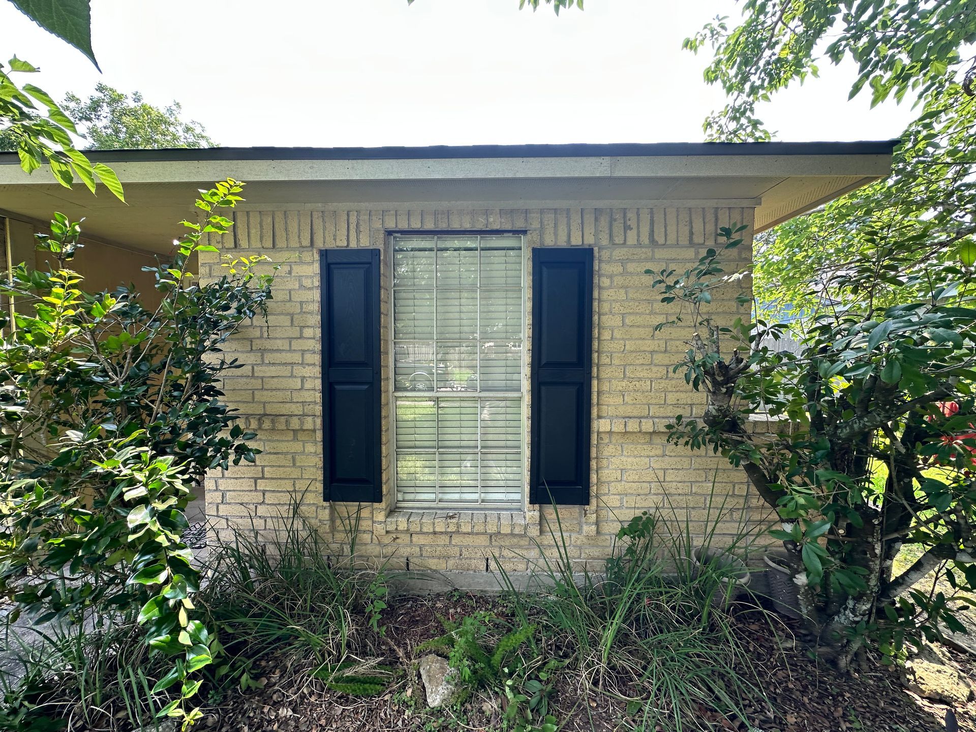 Brick house exterior with a window, black shutters, and surrounding greenery.