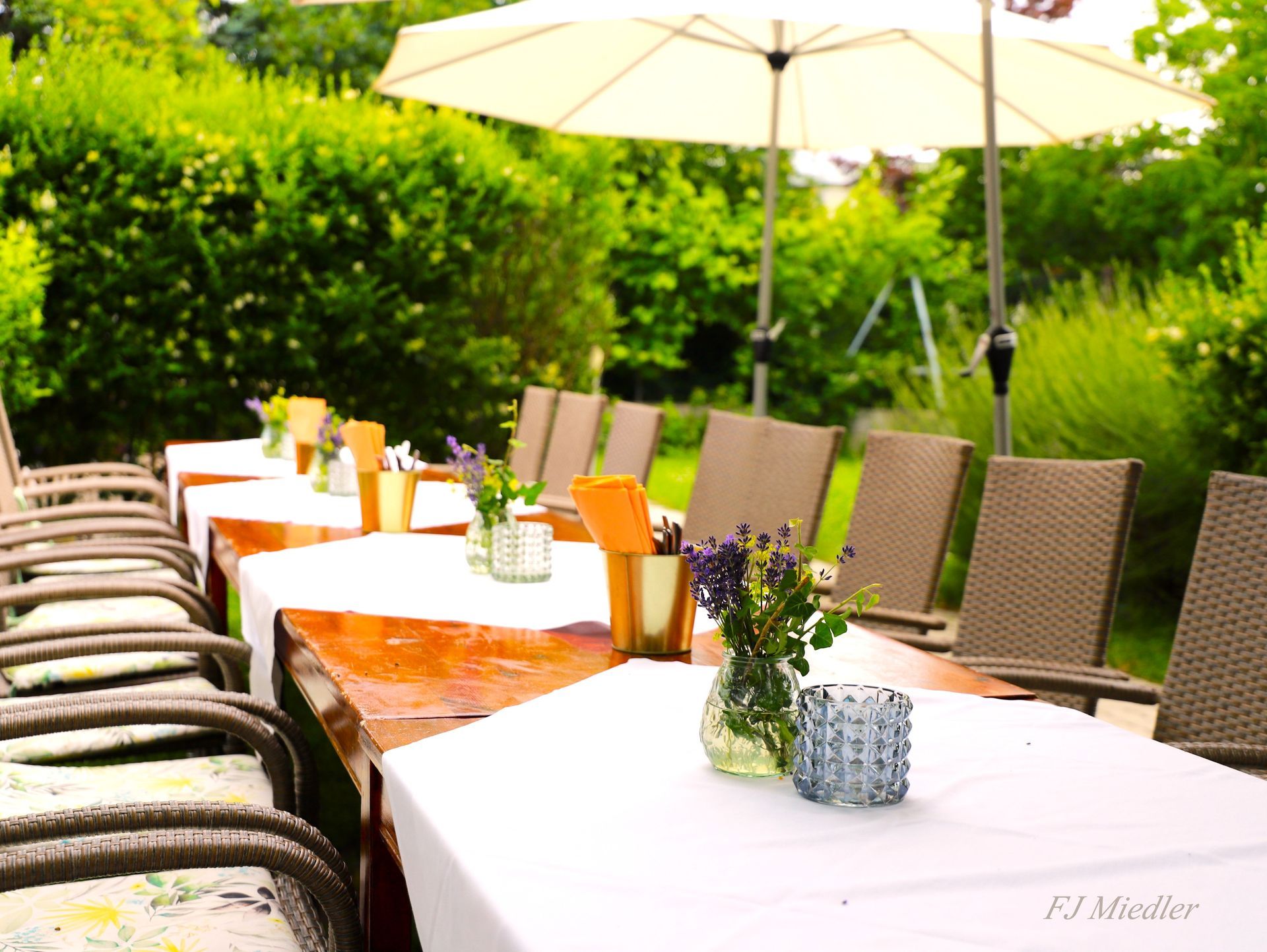 Heuriger Garten