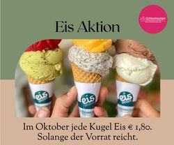 Eisgreissler Partner
