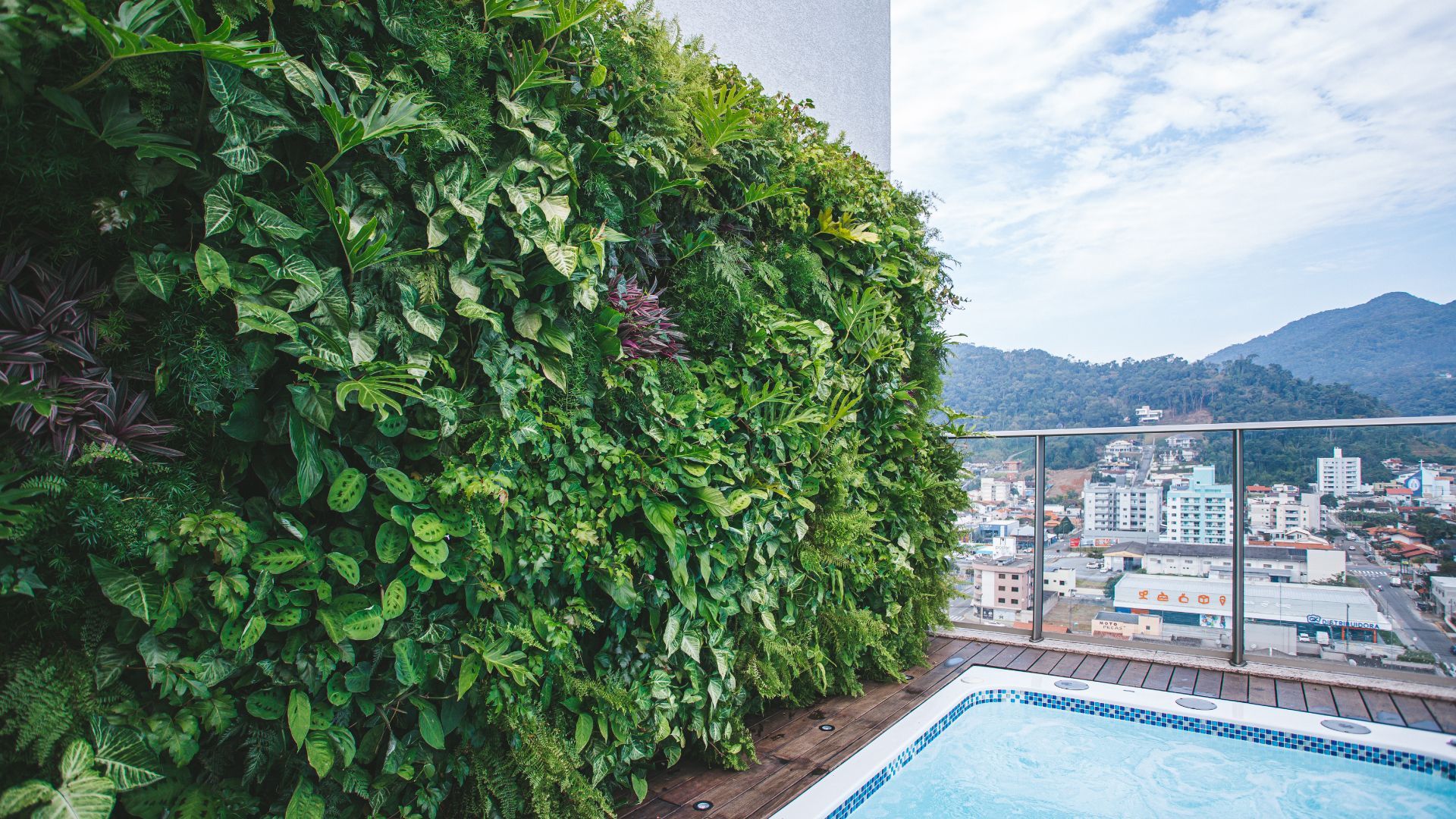 Jardim vertical natural Freedom