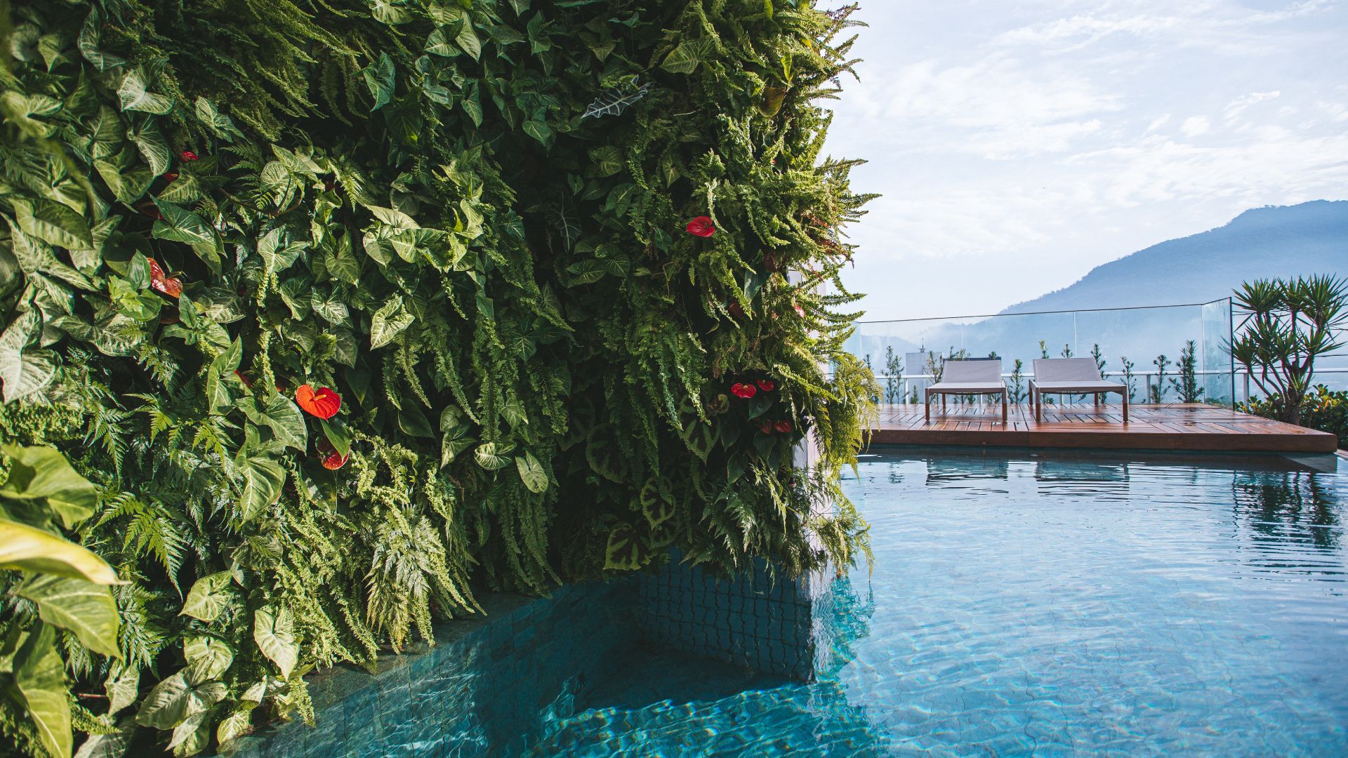 Jardim vertical natural Freedom