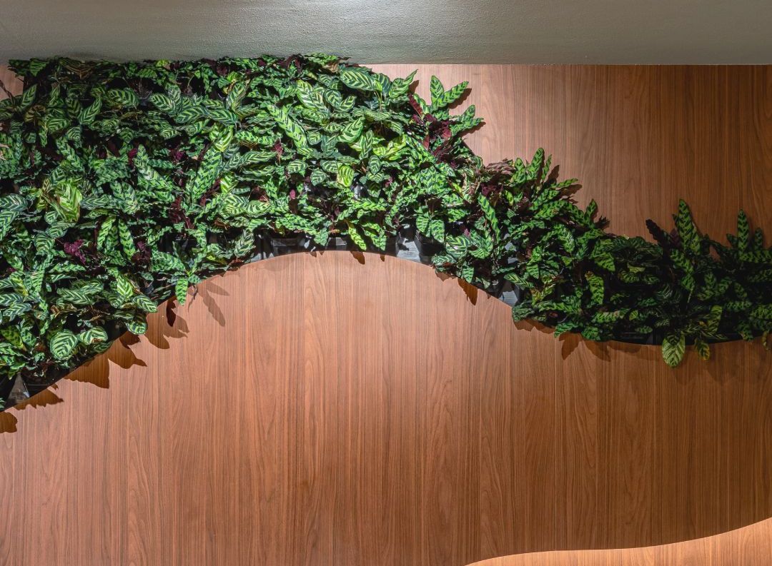 Jardim vertical natural Freedom