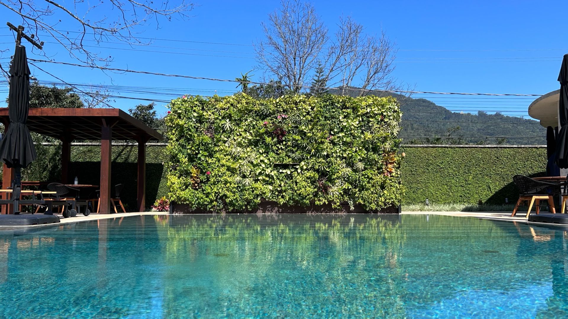 Jardim vertical natural Freedom