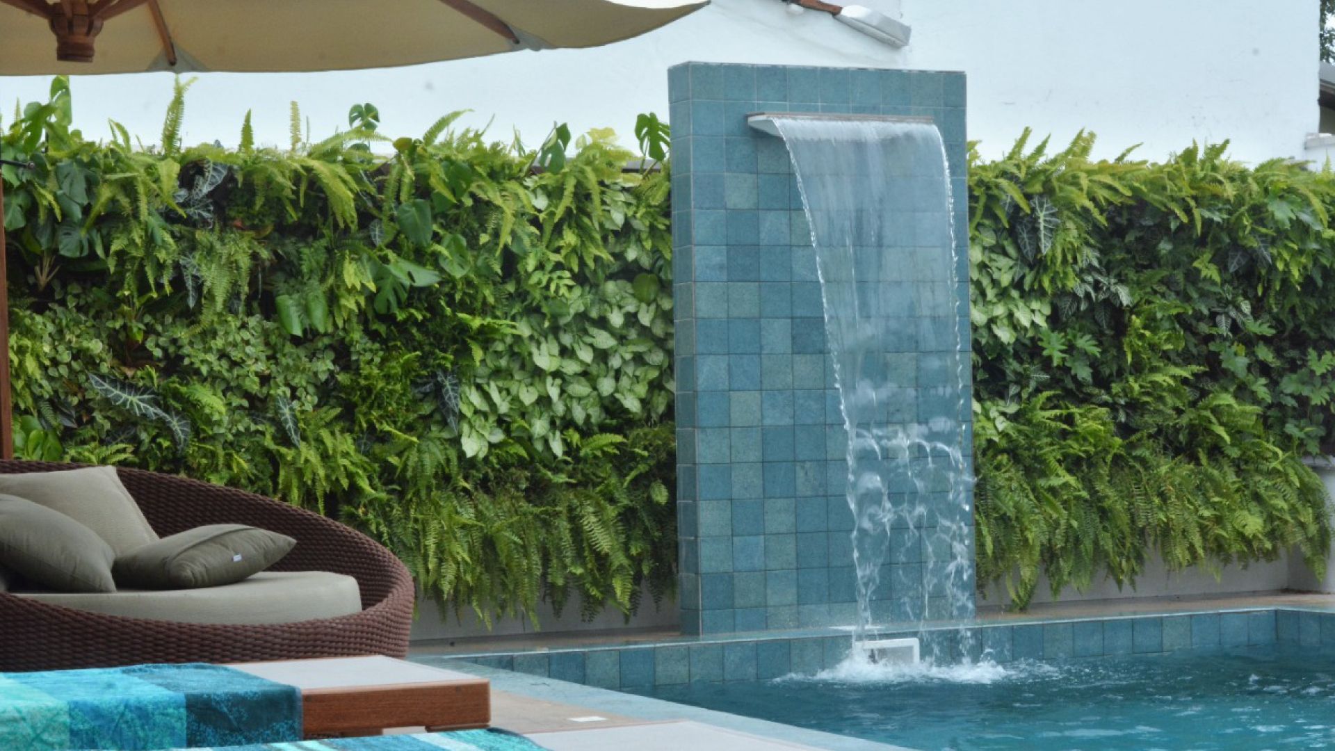 Jardim vertical natural Freedom