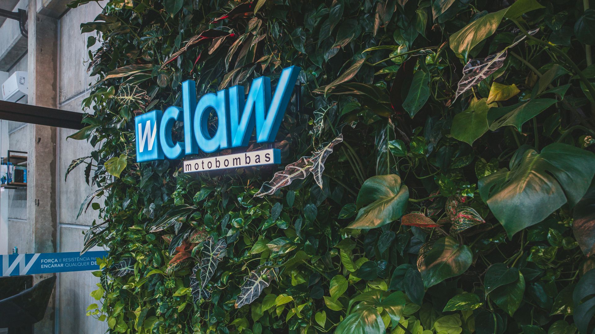 Freedom_Claw