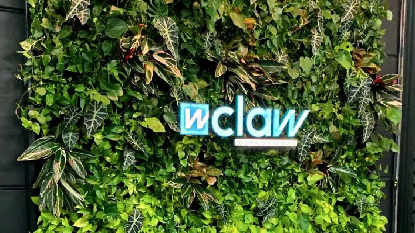 Freedom_Claw