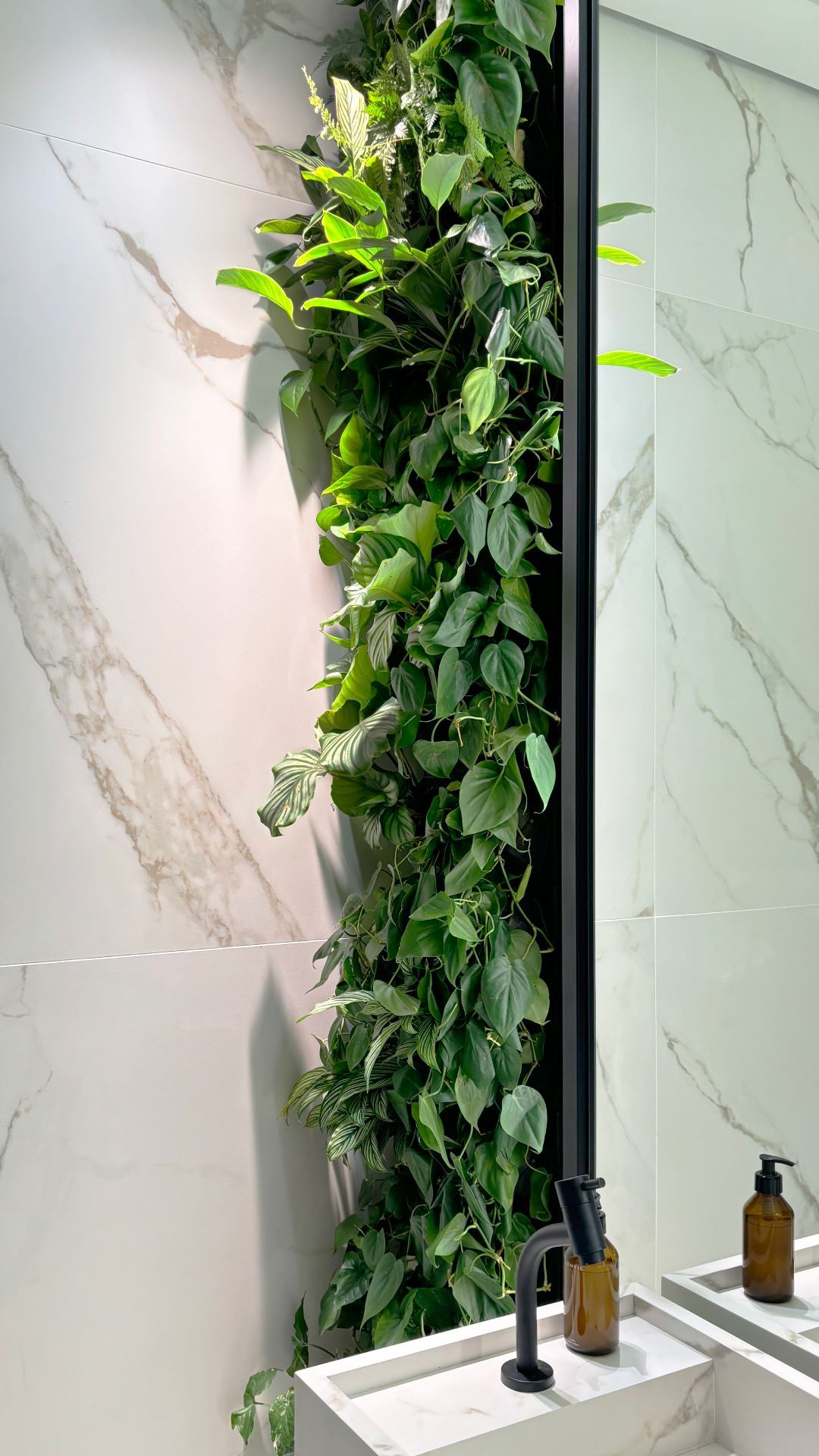 Freedom_MayerOdontologia