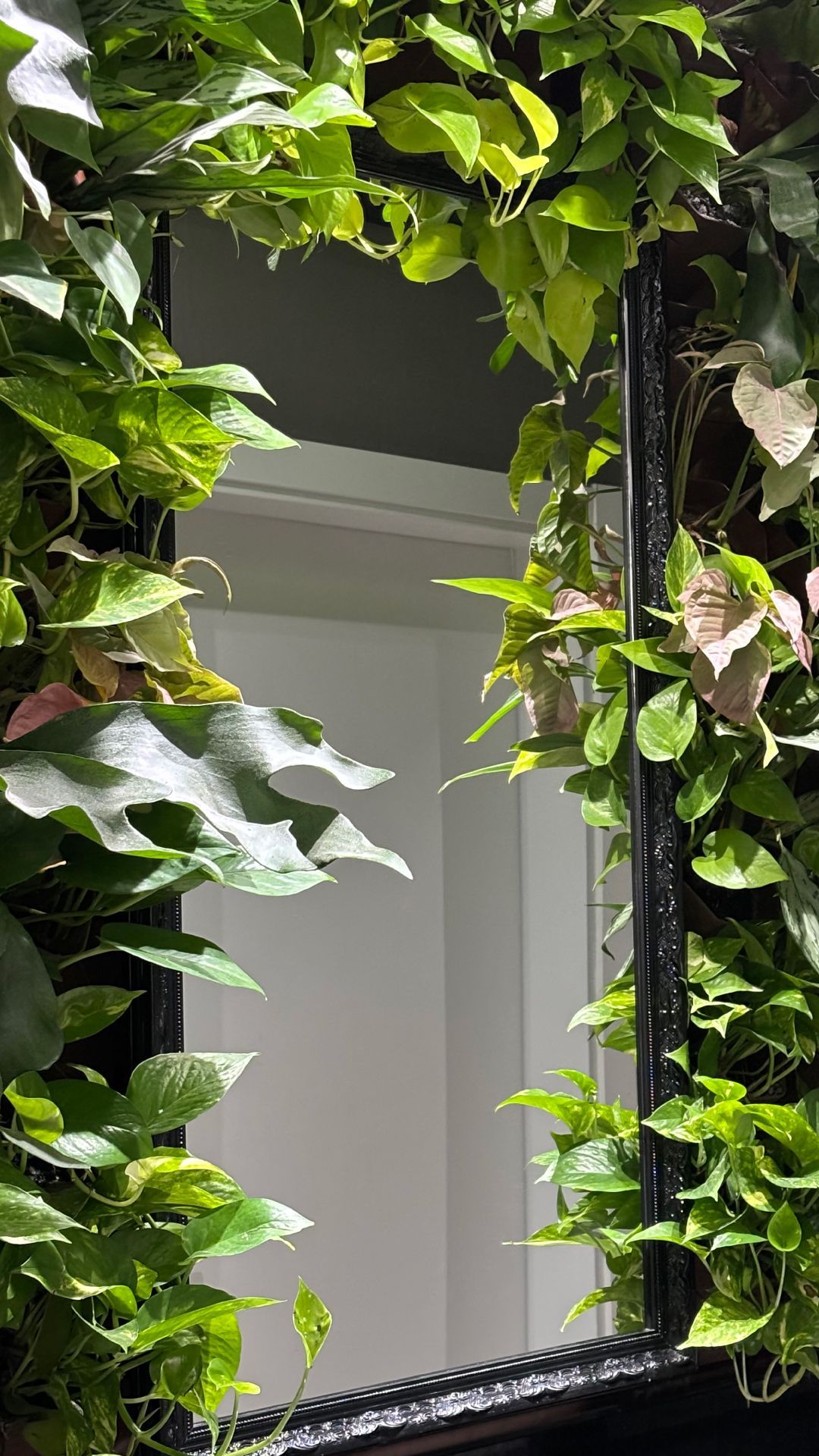Multiplier - Jardim em banheiro