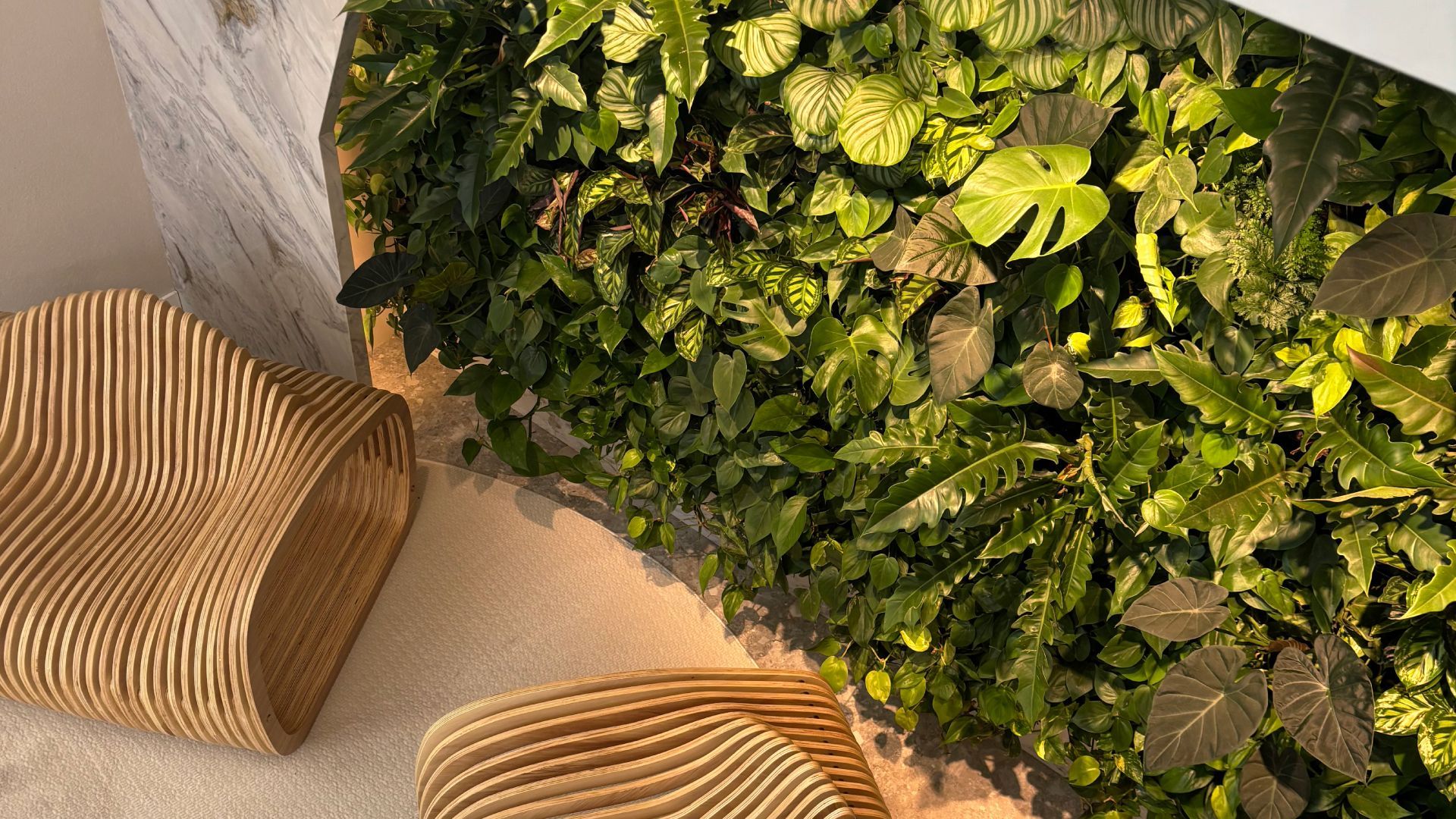 Jardim vertical natural Freedom