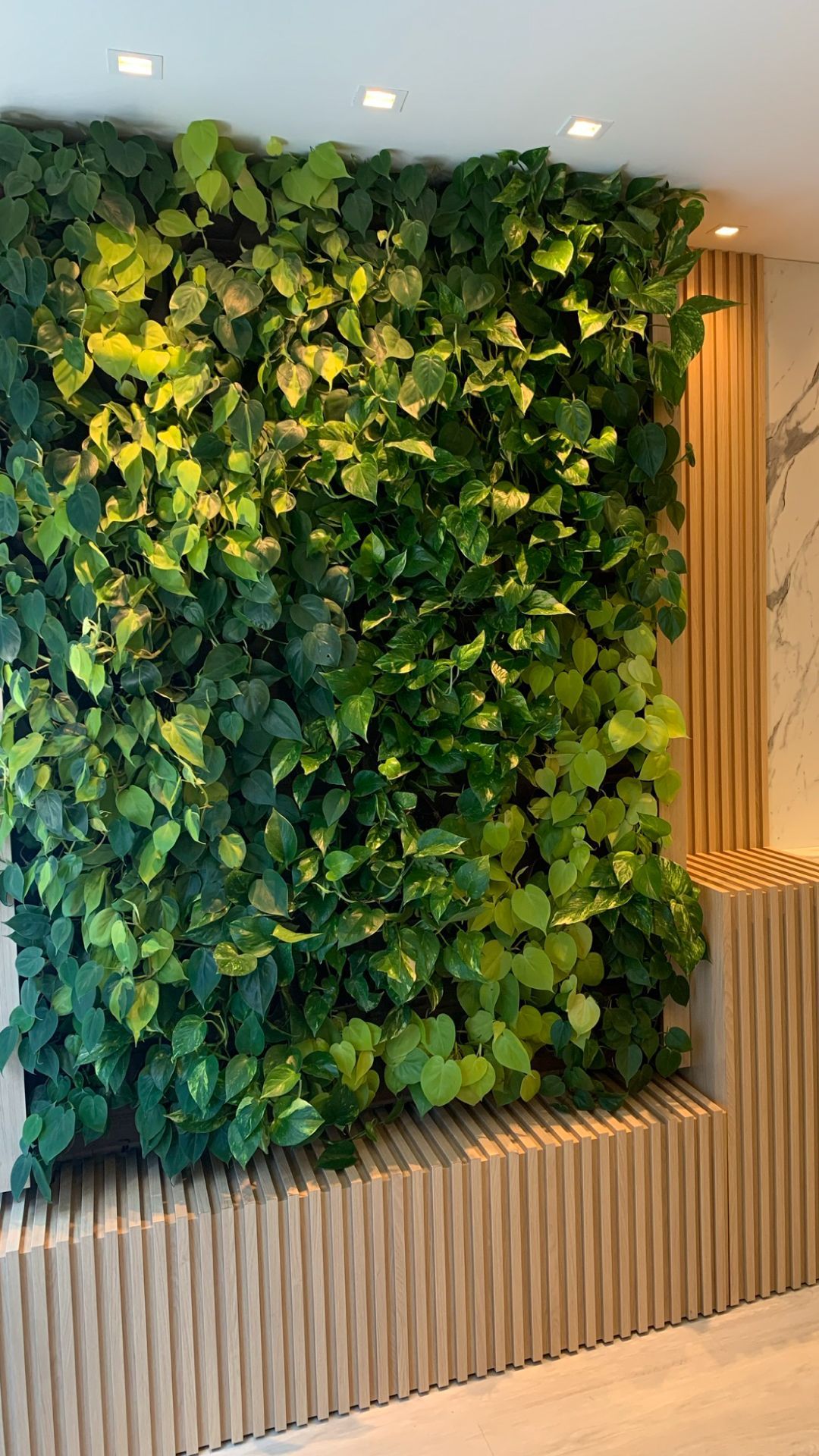 Jardim vertical natural Freedom