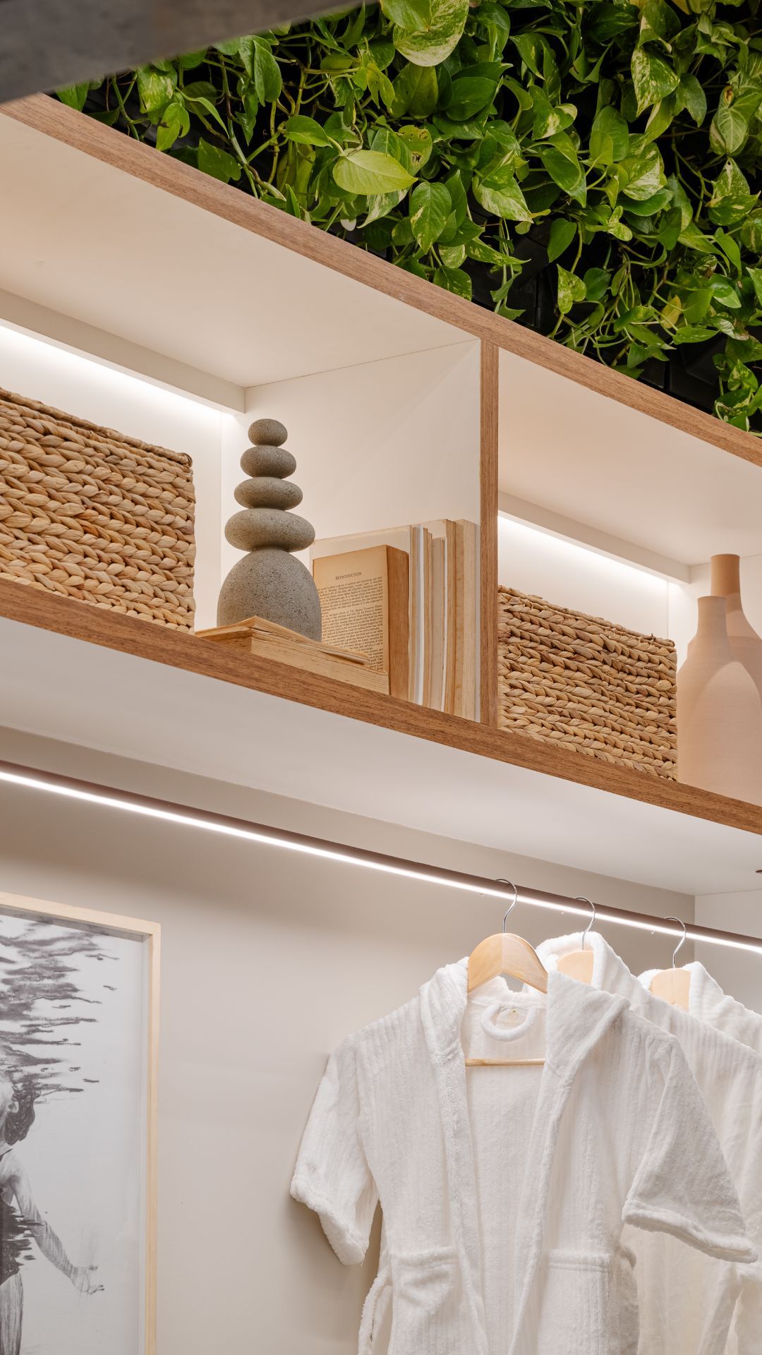 Jardim vertical natural Freedom