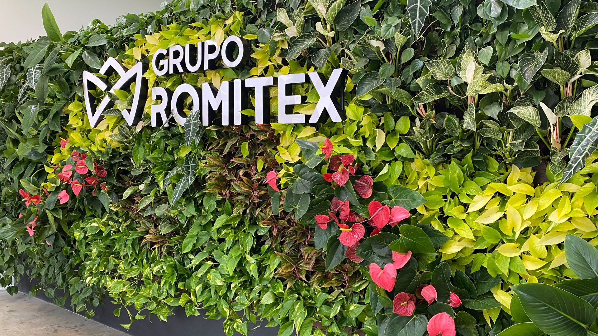 Freedom_Romitex