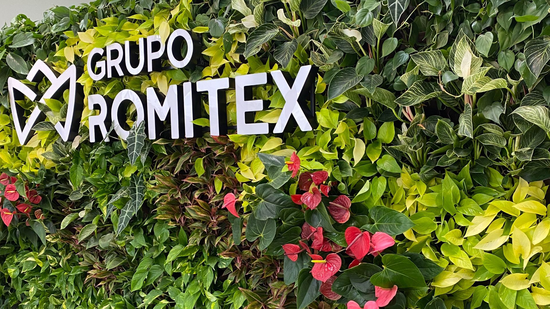 Jardim vertical natural Freedom