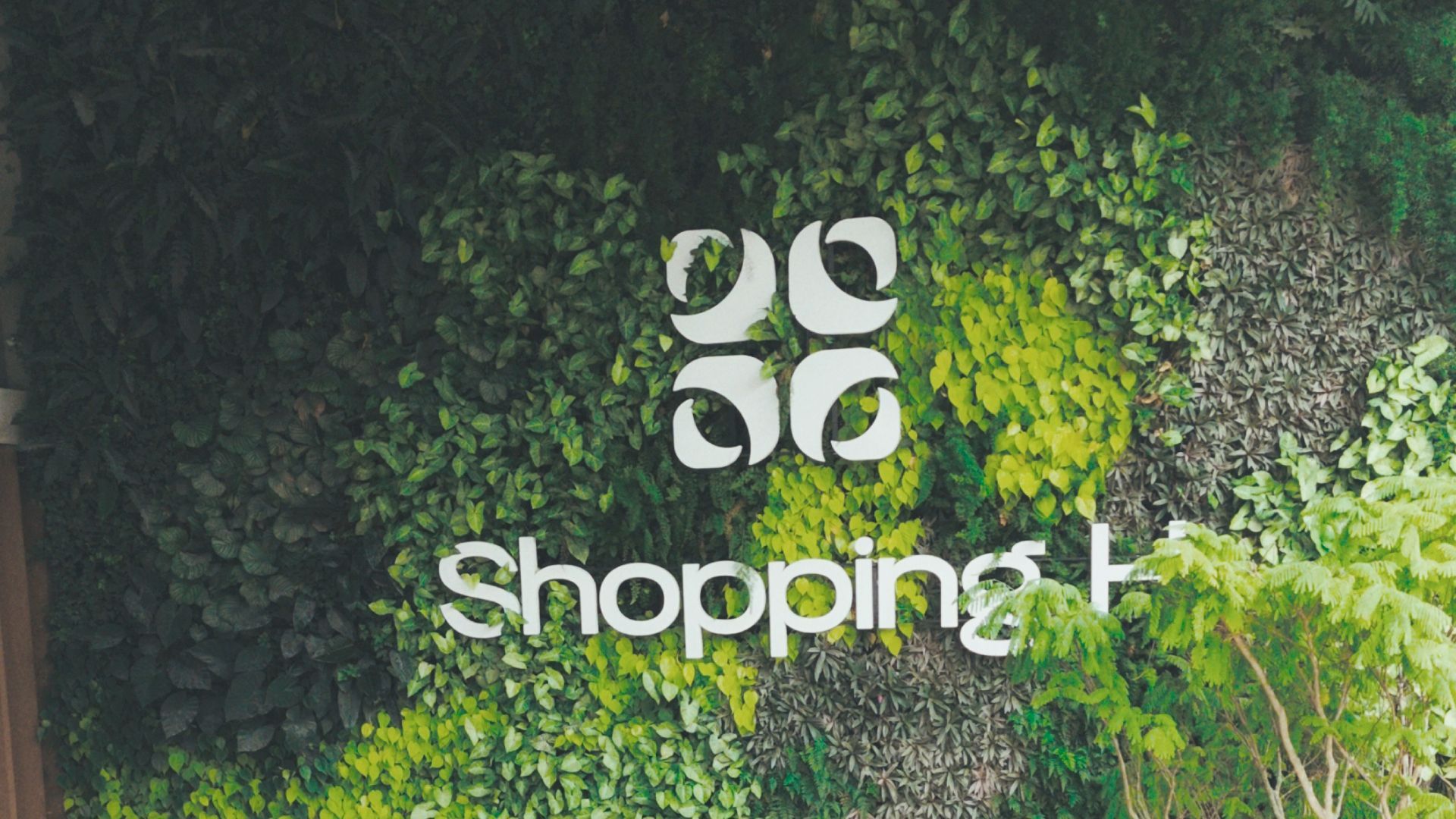 Freedom_ShoppingH