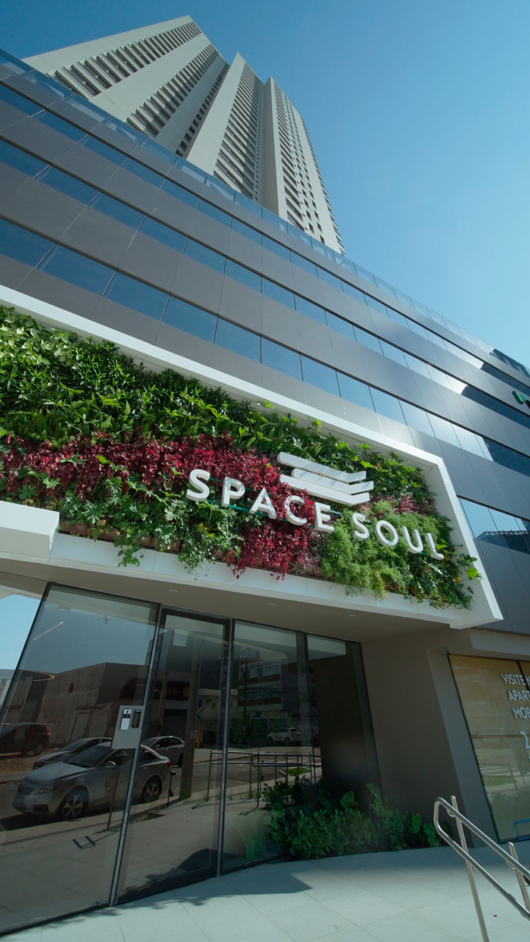 Freedom_SpaceSoul