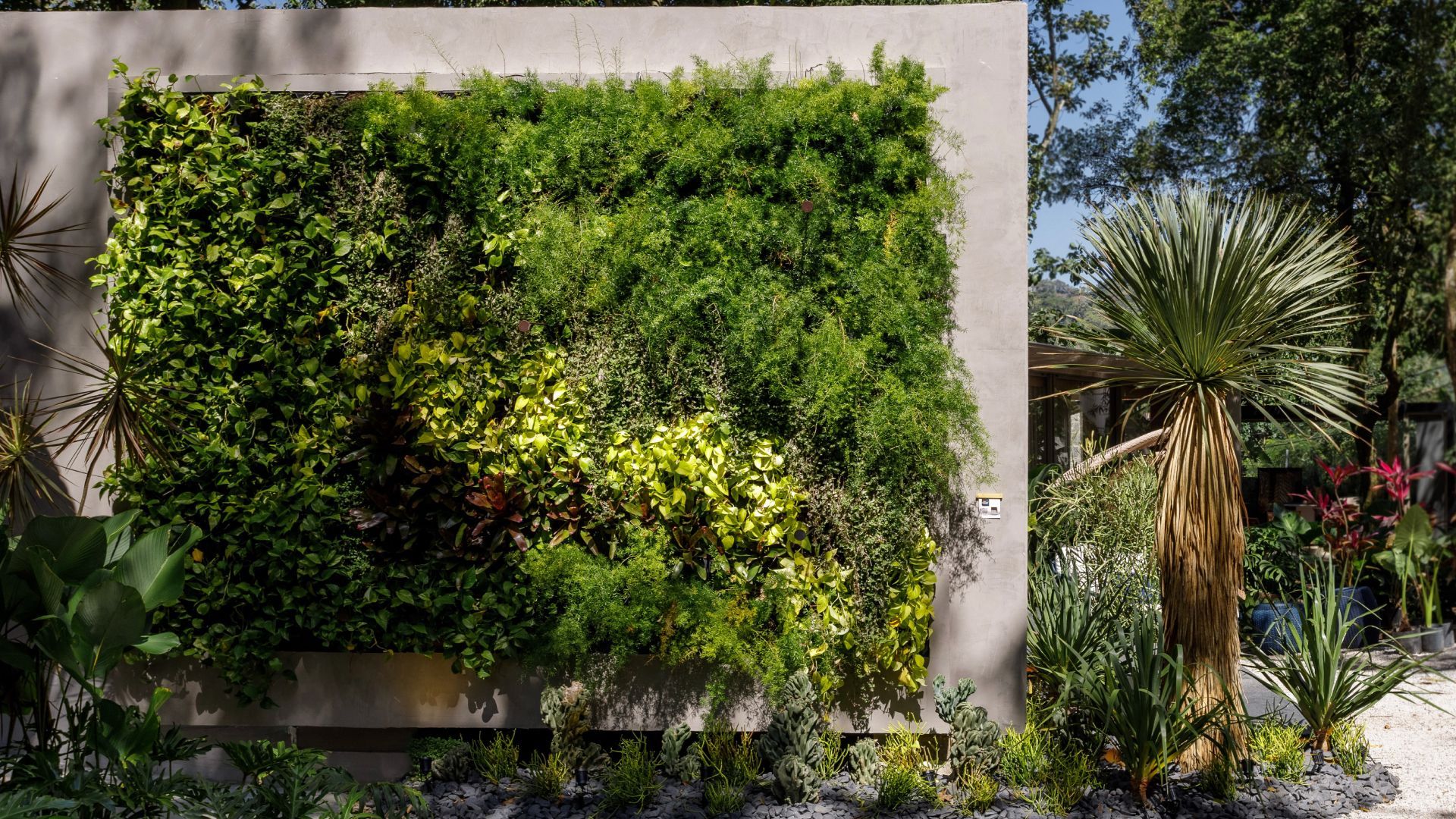 Freedom CASACOR - Suite corcovado