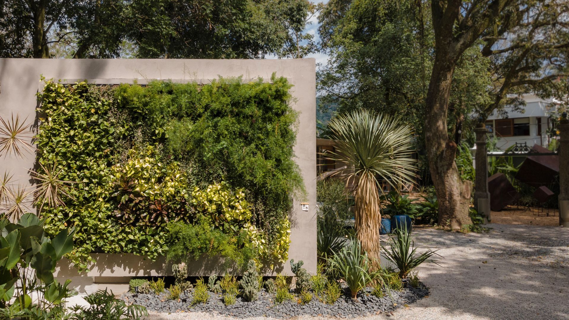 Jardim vertical natural Freedom
