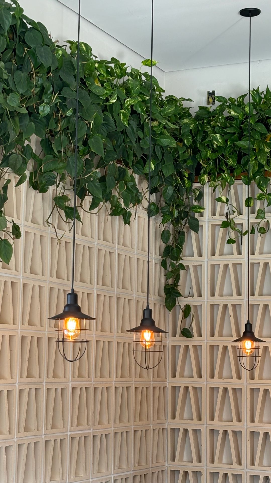 Jardim vertical natural Freedom