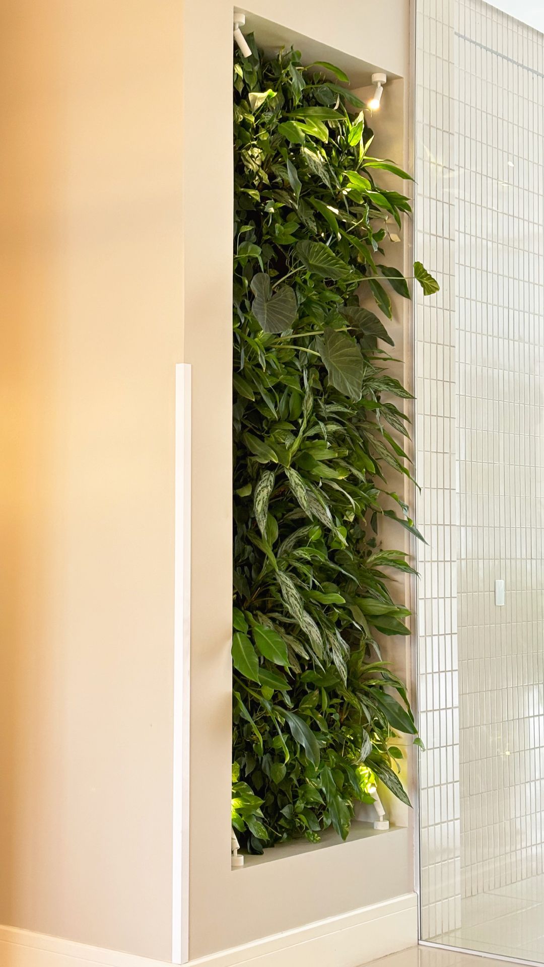 Jardim vertical natural Freedom