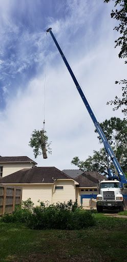 A crane is lifting a tree from the roof of a house.