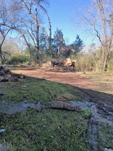 A dirt road with a pile of logs in the middle of it.