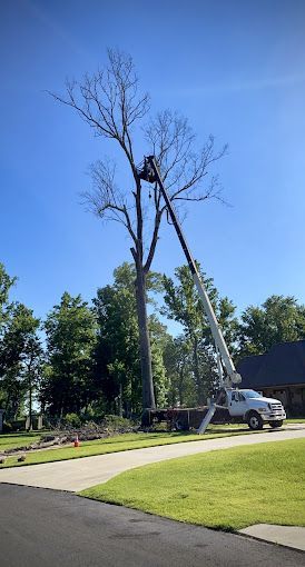 A tree being cut down by a crane in a driveway.