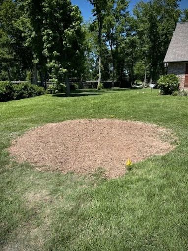 A stump in the middle of a lush green lawn in front of a house.