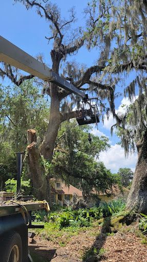 A man is cutting a tree with a crane.