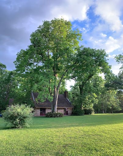 A house is sitting in the middle of a lush green field surrounded by trees.
